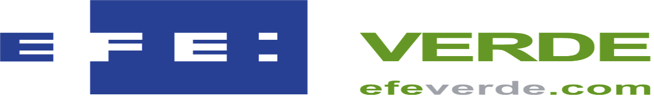 Logo EFEVerde_IREC in the Media