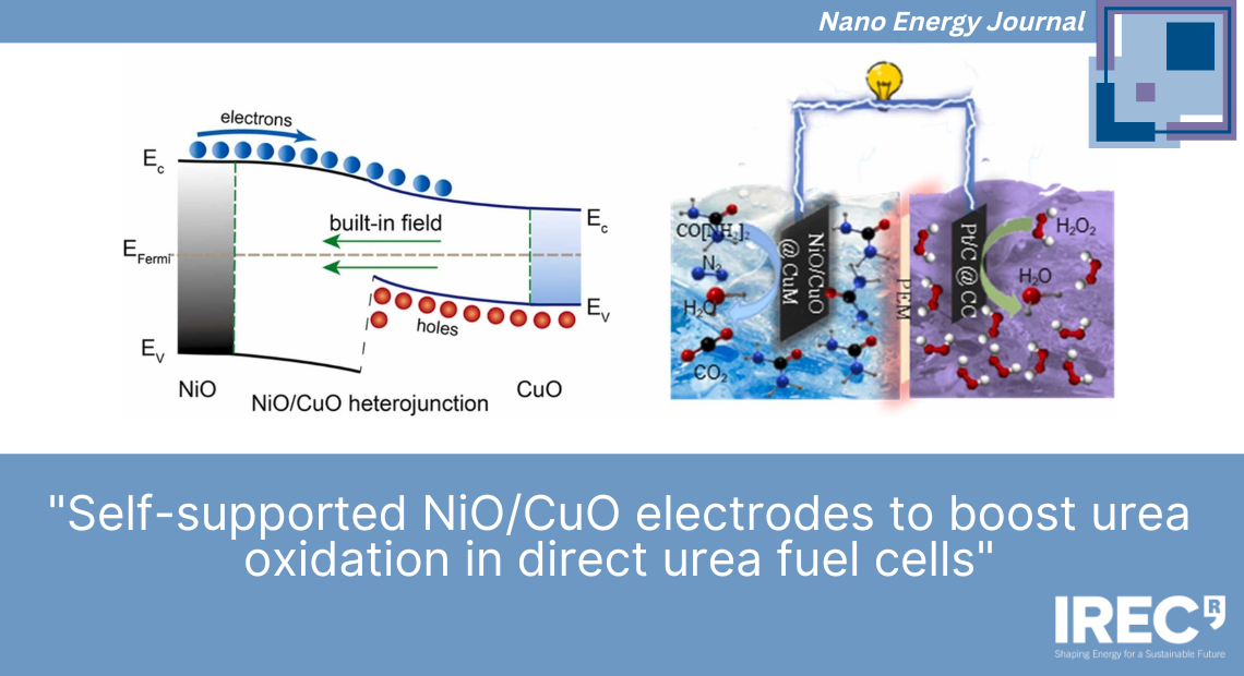 Self-supported NiO/CuO electrodes to boost urea oxidation in direct urea fuel cells . Optimisation of direct urea fuel cells by IREC article in Nano Energy