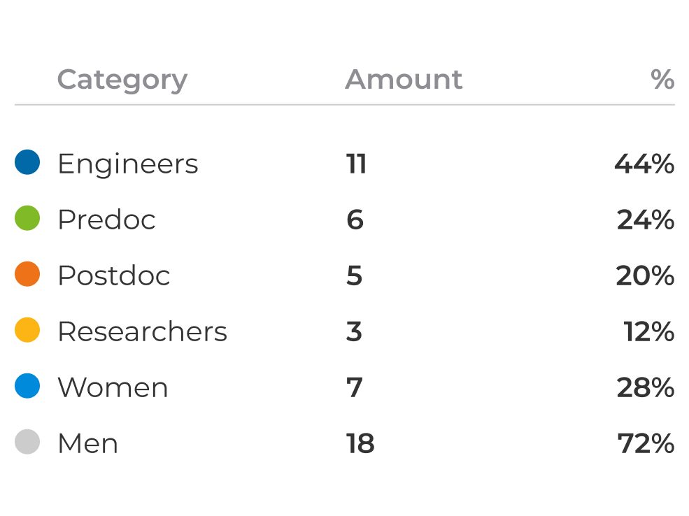 Data table illustrating the distribution of 25 team members by professional role and gender.