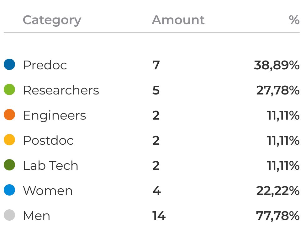 Data table illustrating the distribution of 18 team members by professional role and gender.