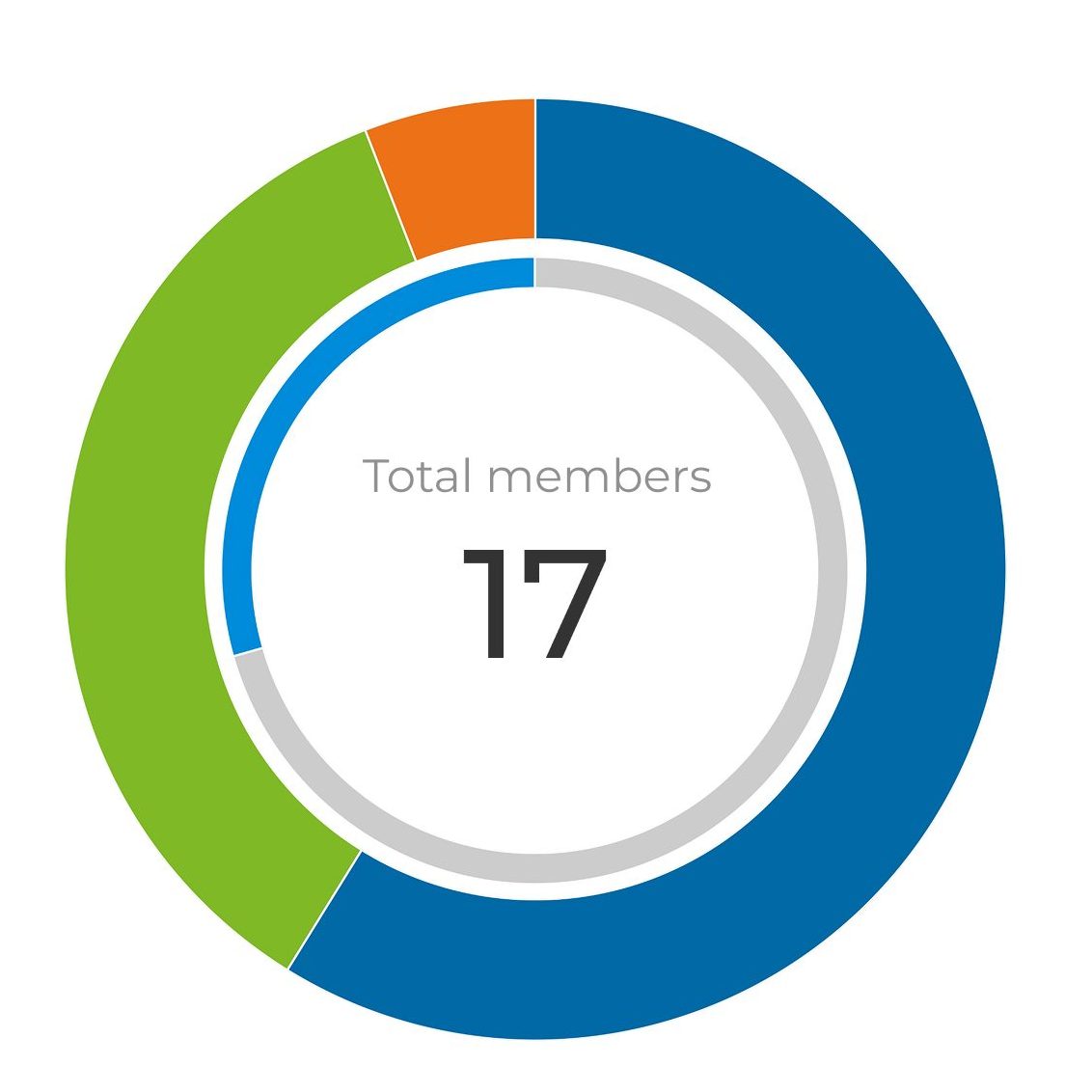 Donut chart and data table showing the composition of 17 total members by professional category and gender.