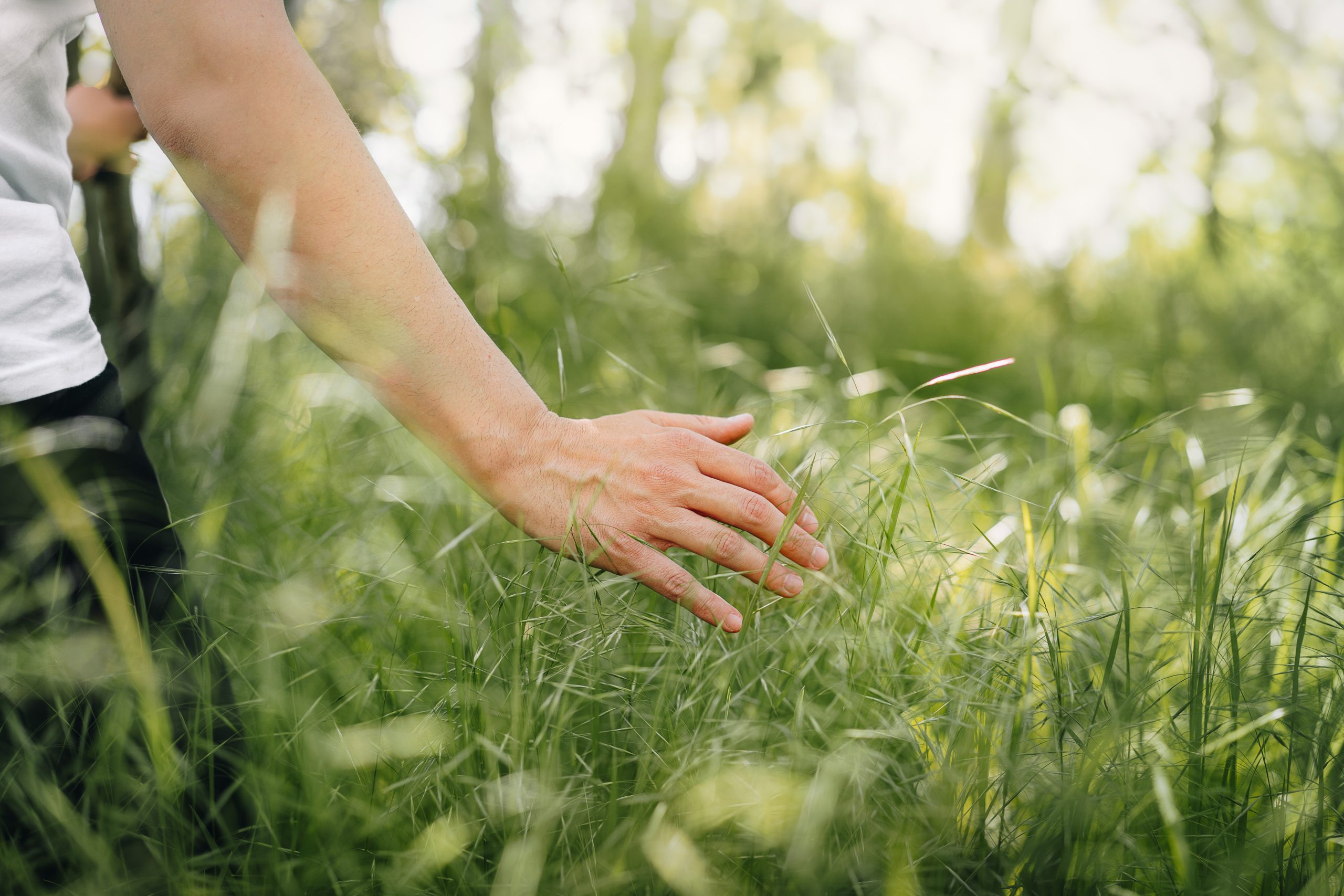 Sustainable technologies supporting environmental innovation and decarbonization goals